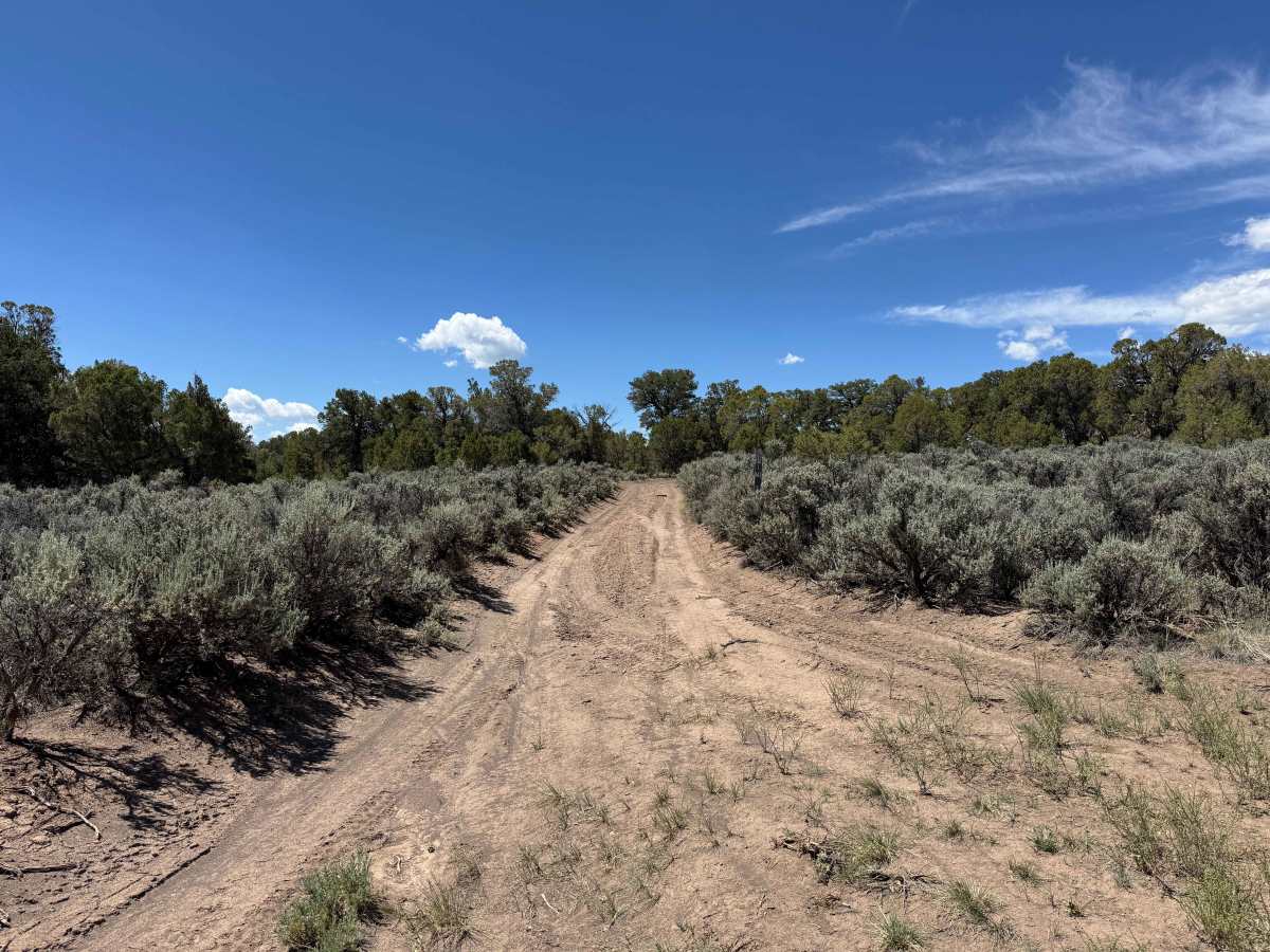 BLM 8473A photo 2