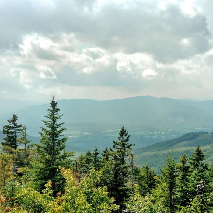 Near Black Cap Trail