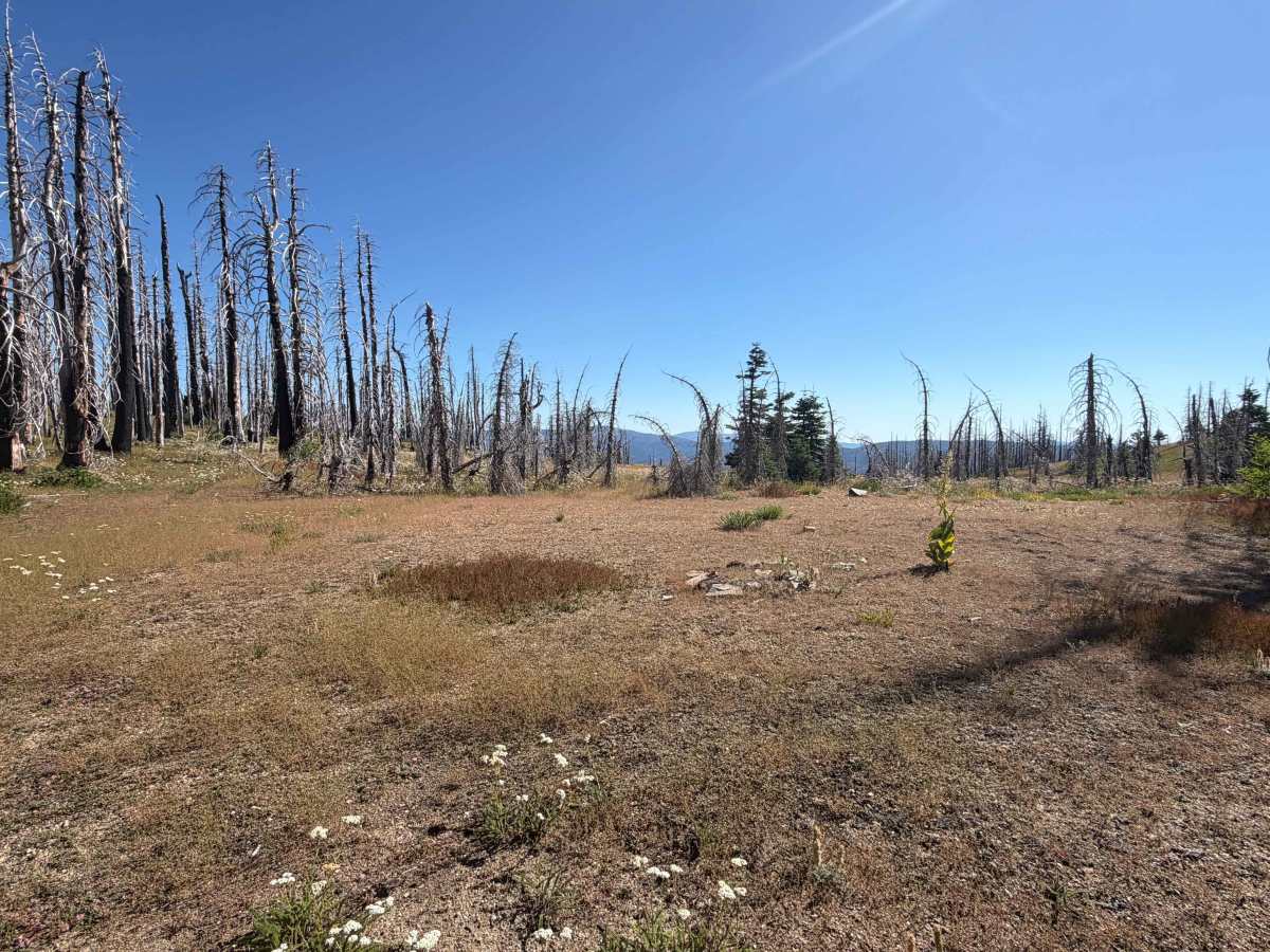 Telephone - FS 22N27 trail photo
