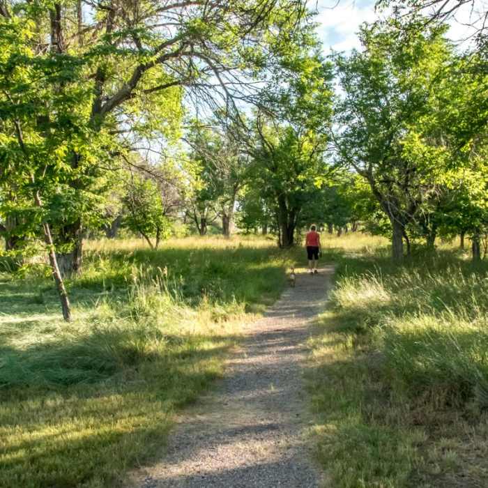 Near Trail of the Mourning Dove Near Trail of the Mourning Dove