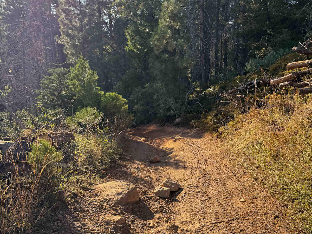 21E245 photo 4