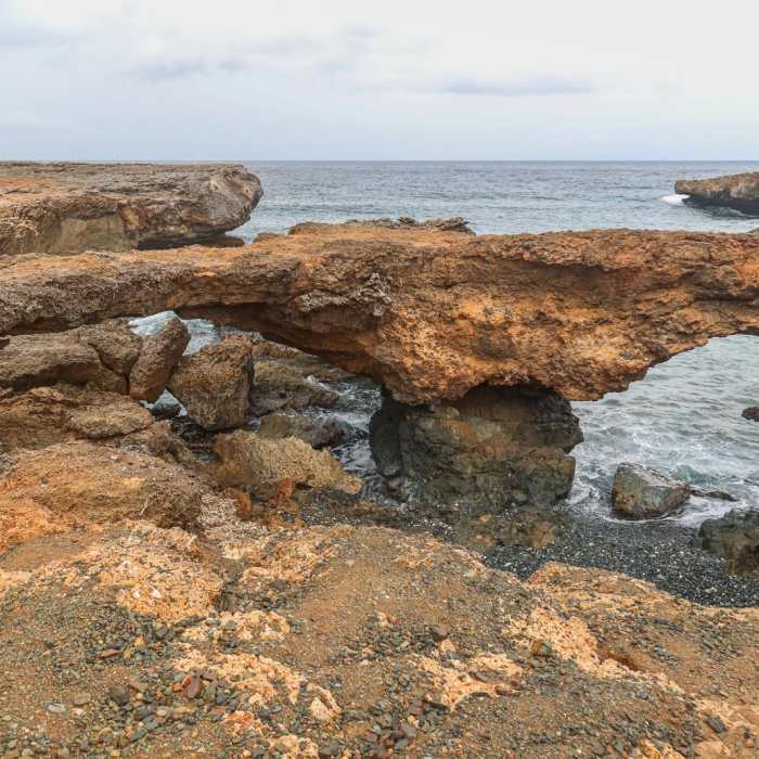 Near Blackstone Beach Trail Near Blackstone Beach Trail