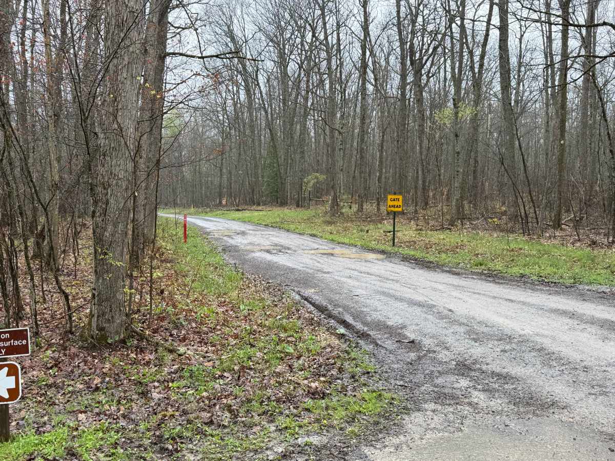 Elk Horn Run - FS 155 trail photo