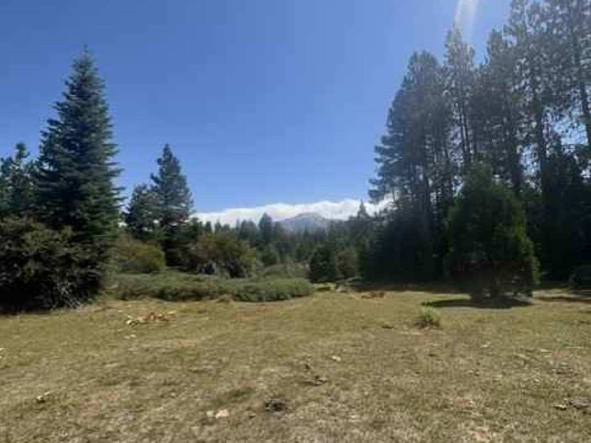 Secret Single Track (007 additional trail) photo 2