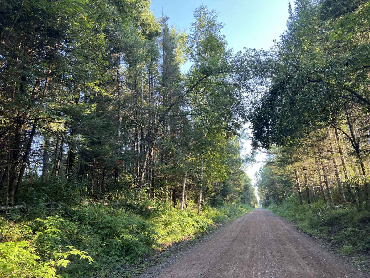 Nicolet State Trail - Long Lake trail photo