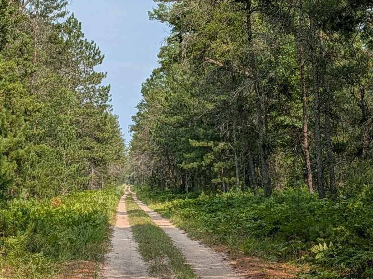 Esmond Road - FS 4405 photo 5