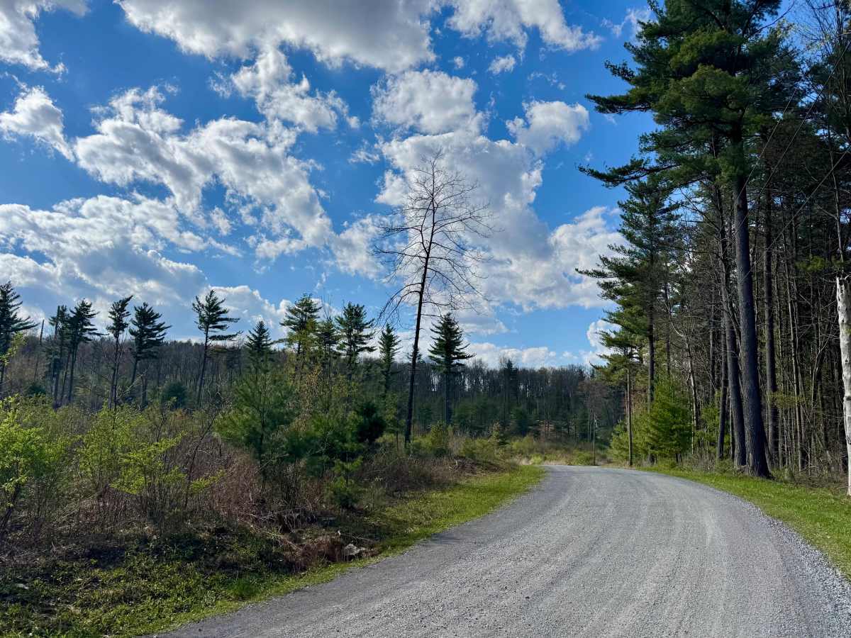 Greens Valley Road photo 3