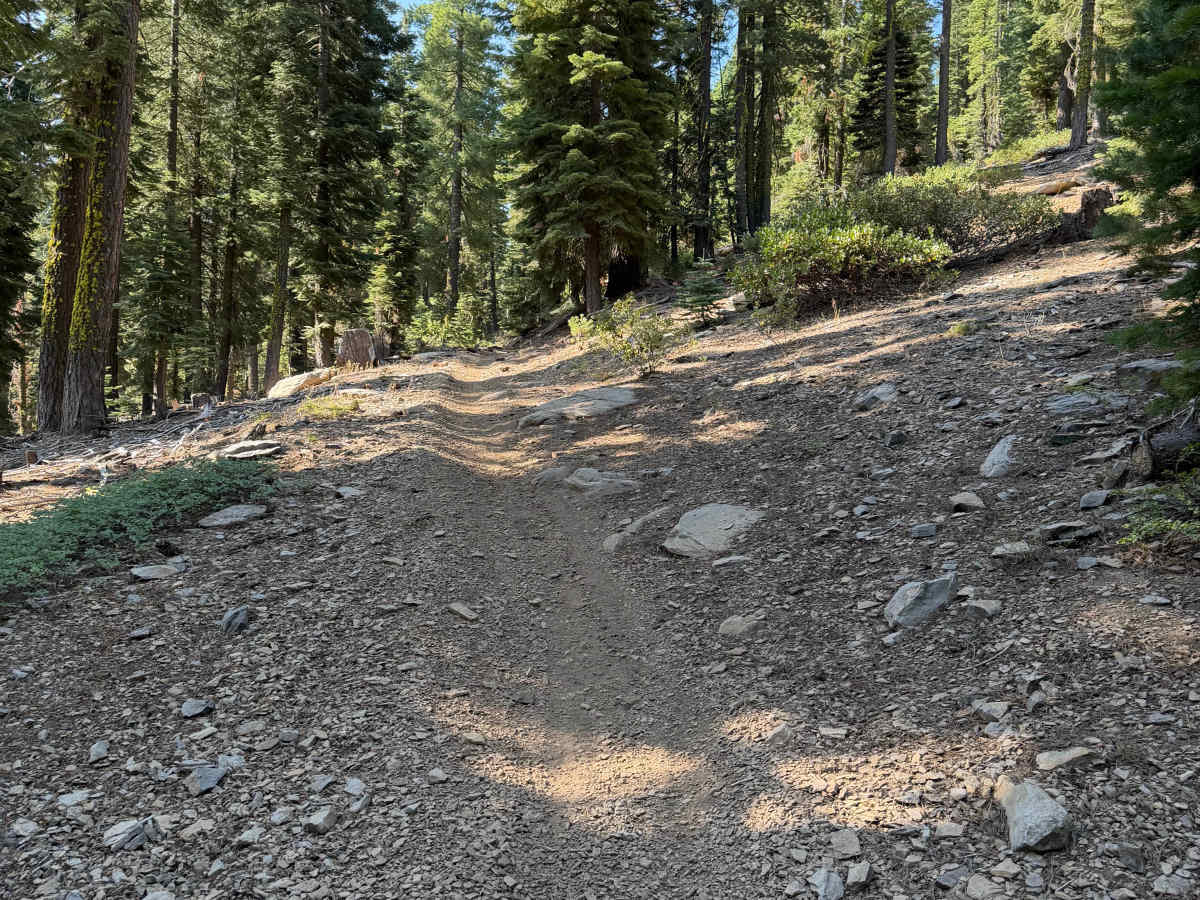 06 Moto Trail photo 6
