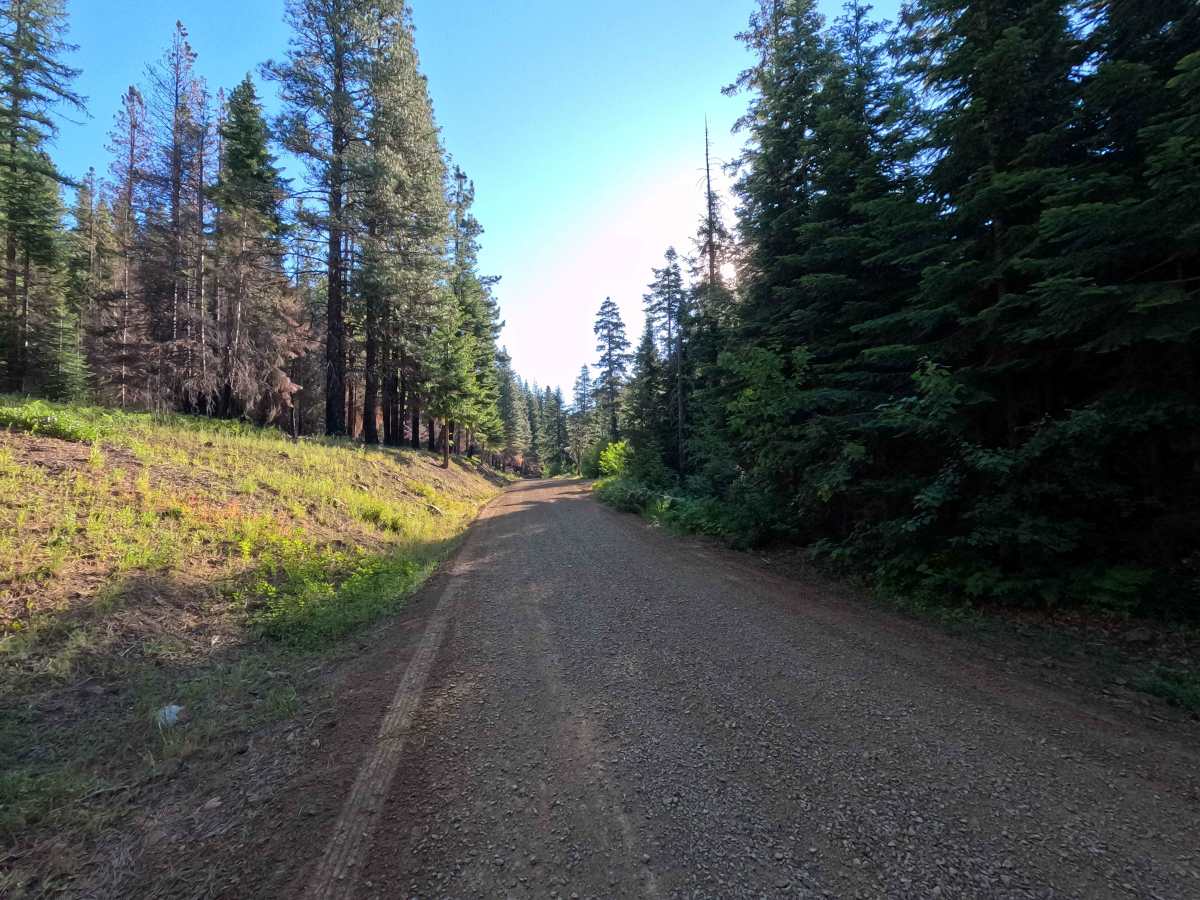 Stafford Creek Road - FS 9703 photo 2