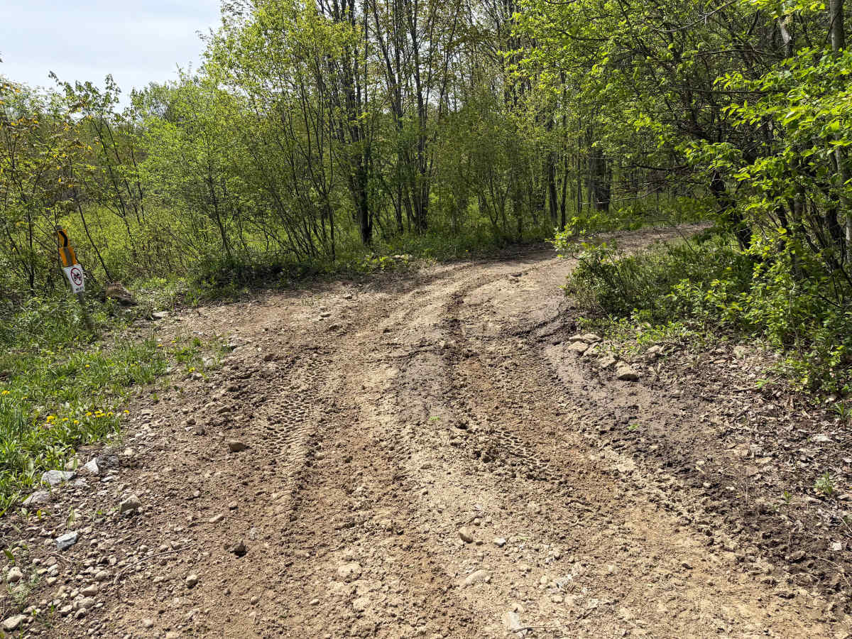 Grower Green Trail West photo 3