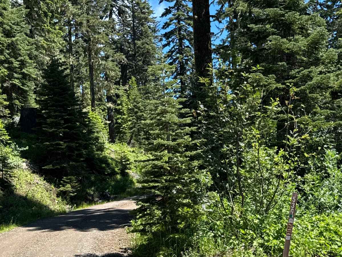Hershberger Lookout Trail - OHV 26 trail photo