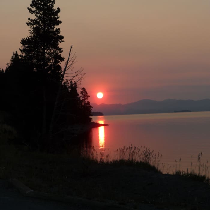 Near Thorofare Trail