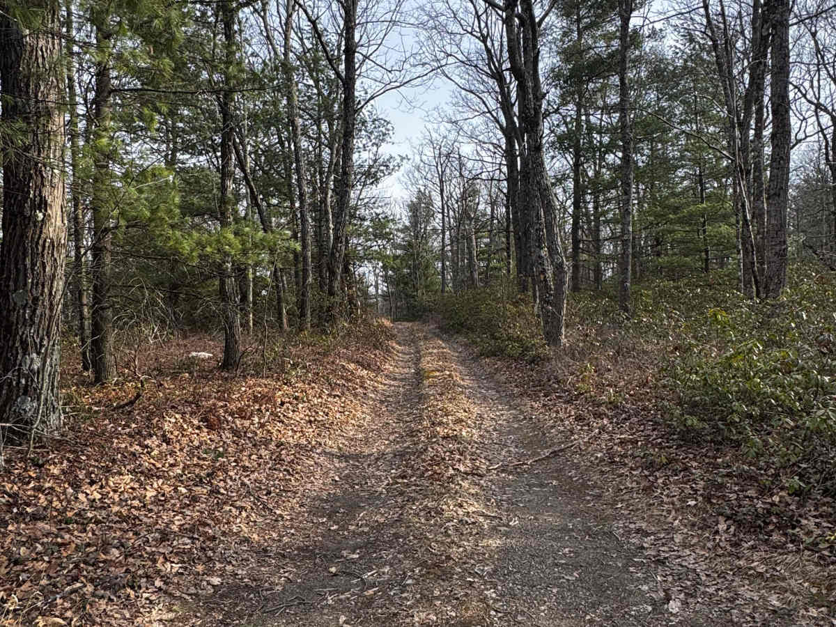 Remington Trail photo 3