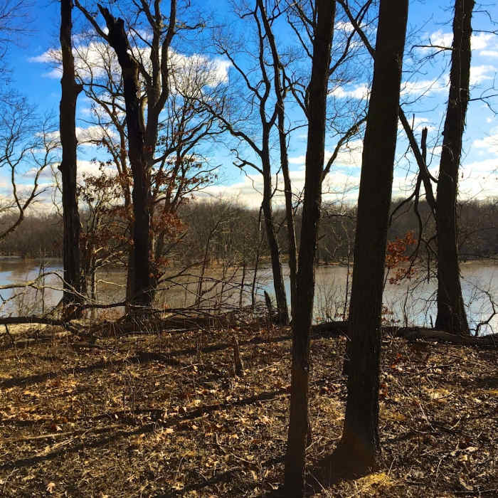 Lake George. Near Hobart Woodland Trail