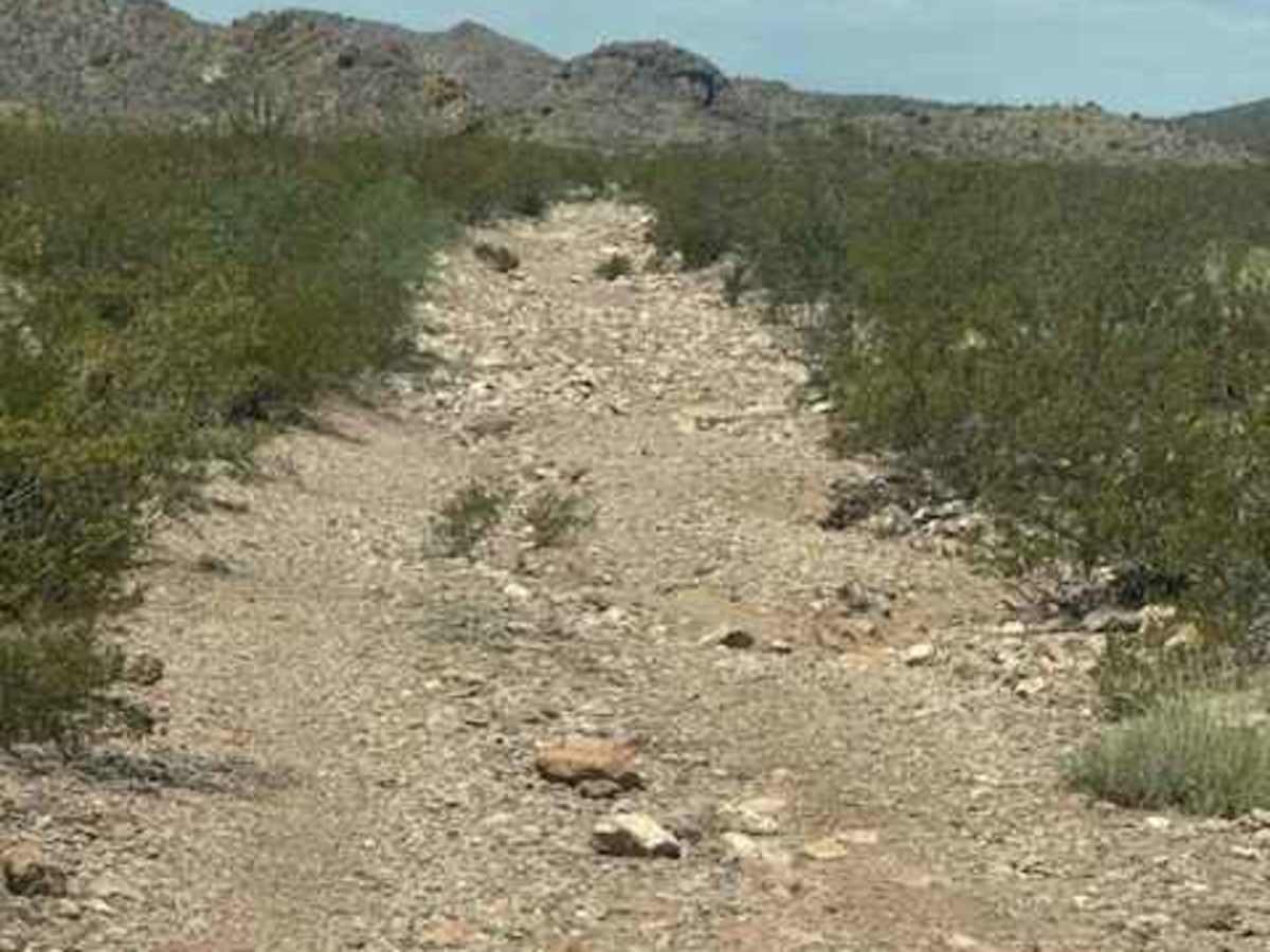 BLM SS1045 trail photo