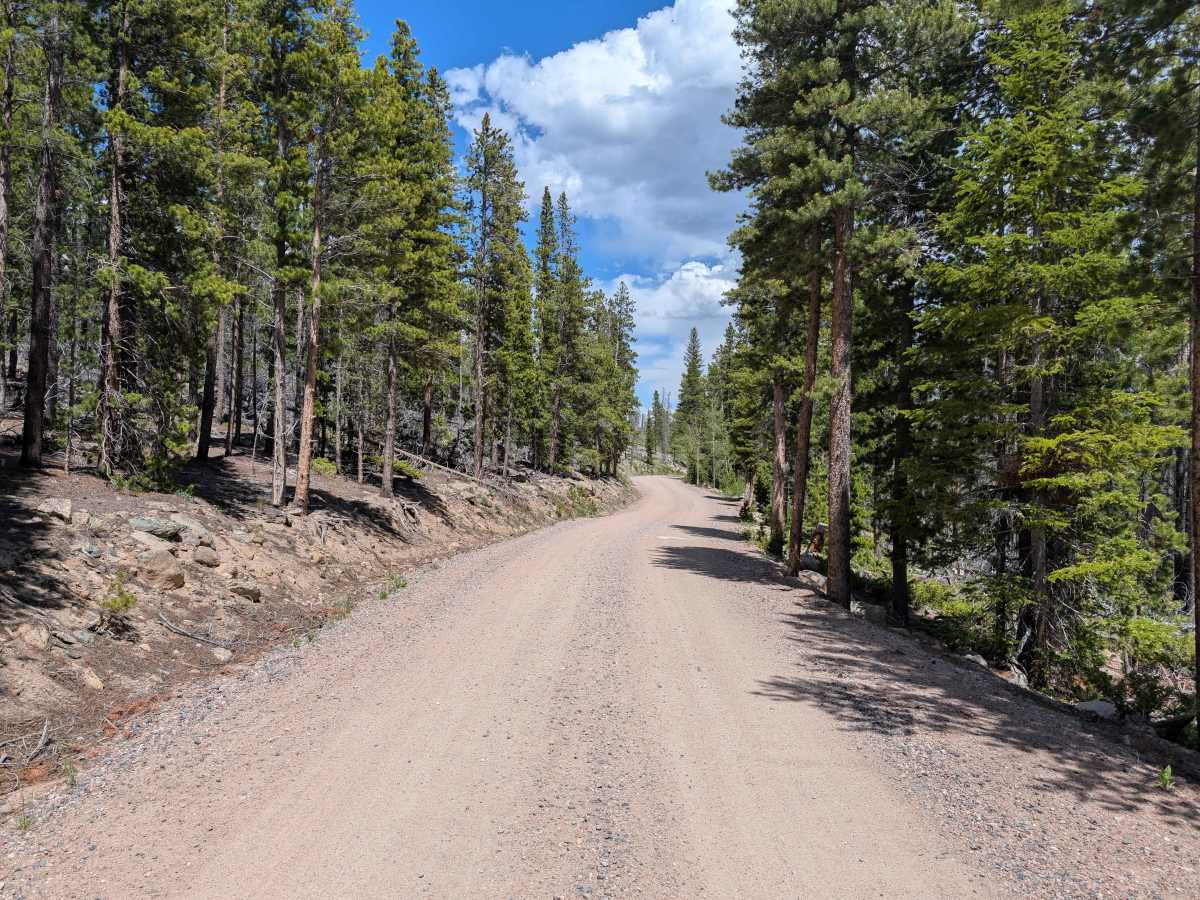 FS 145 trail photo