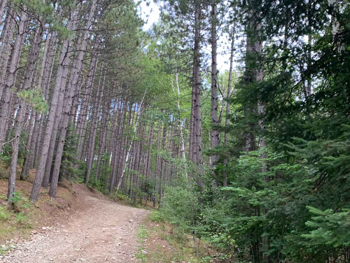 Graham Trail photo 3