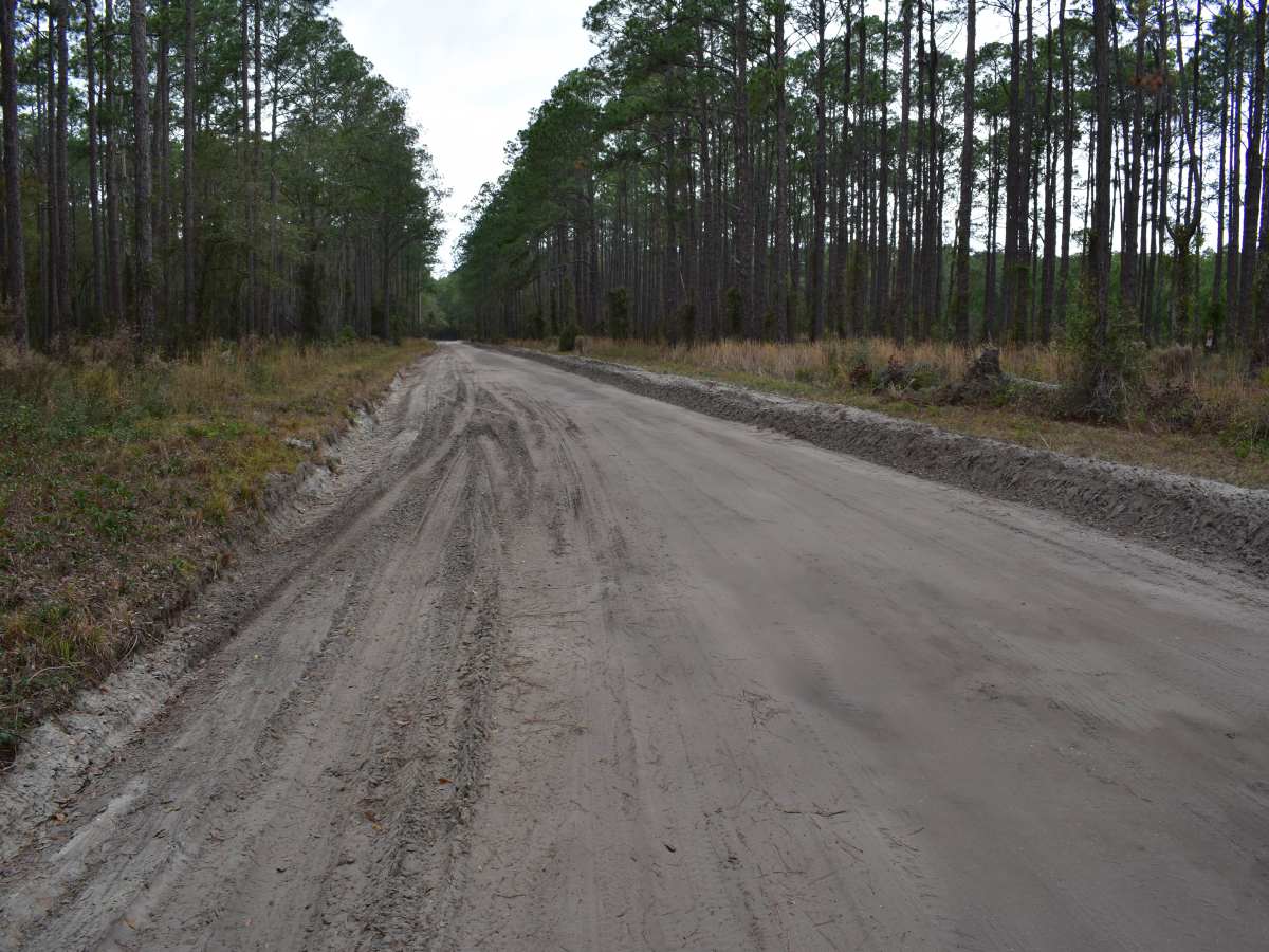 FR 732 photo 6