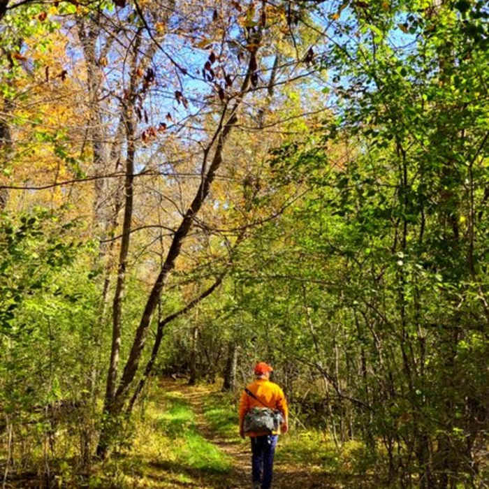 Going counter-clockwise on the Chisago Loop. Near River View Trail (Osceola Loop)