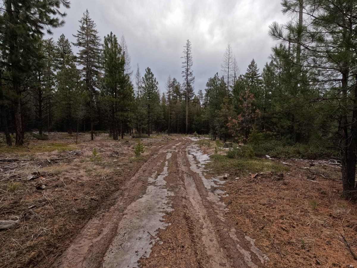 Swale Trail - FS 2107 photo 6