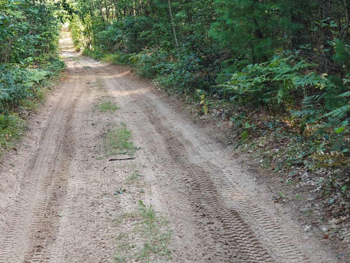 Branch Drive trail photo