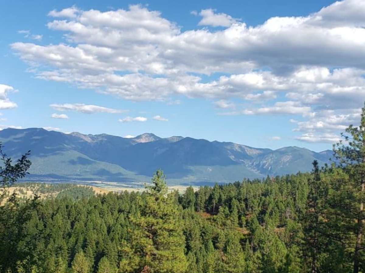 Mill Creek trail photo