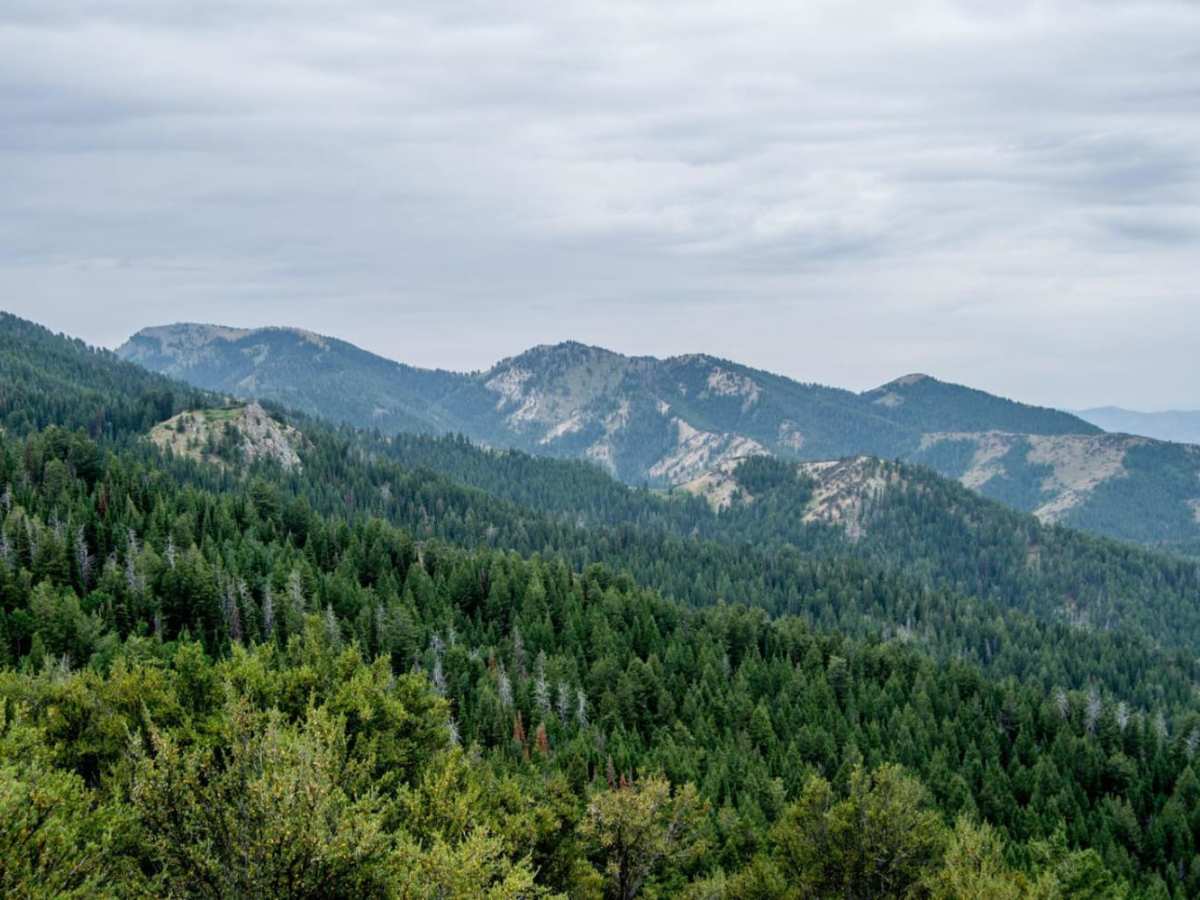 Summit Canyon photo 5