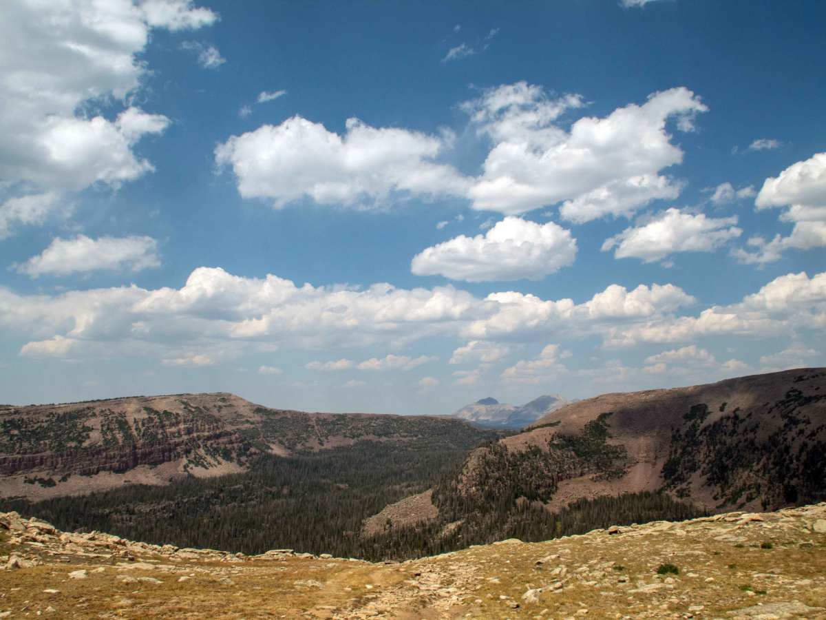 Headache Road - FS 10171 trail photo