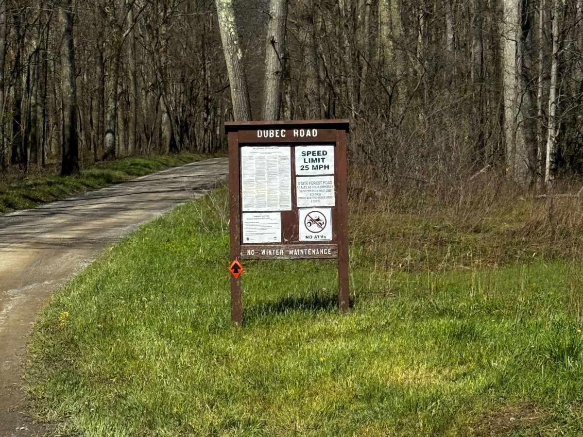 Dubeck Road trail photo