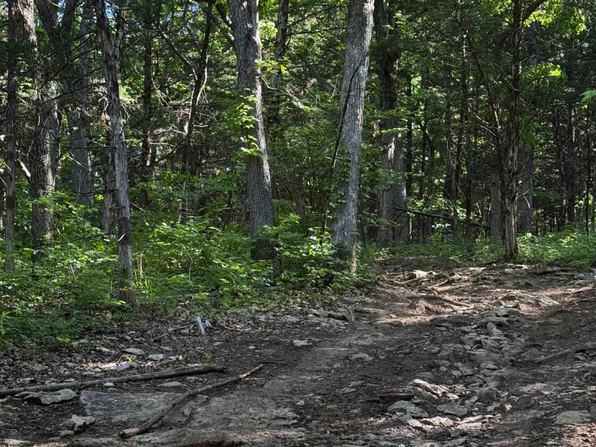Inner Track 9 photo 4