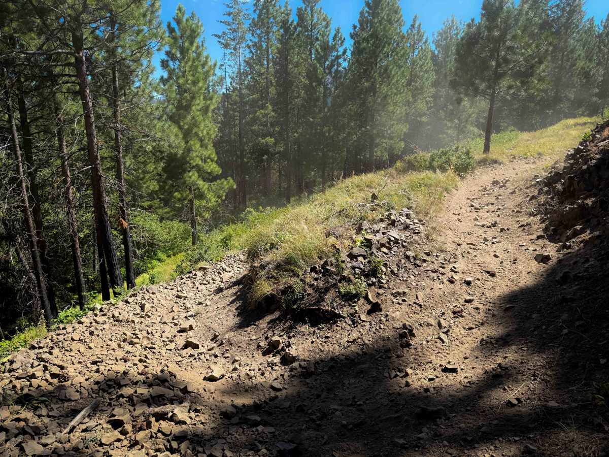 Beehive Trail 1202  photo 2