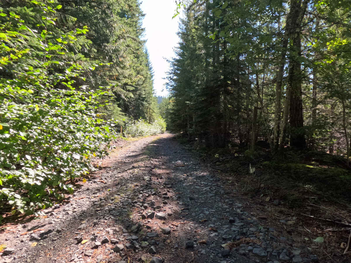 Jackpine - FS 2588000 trail photo