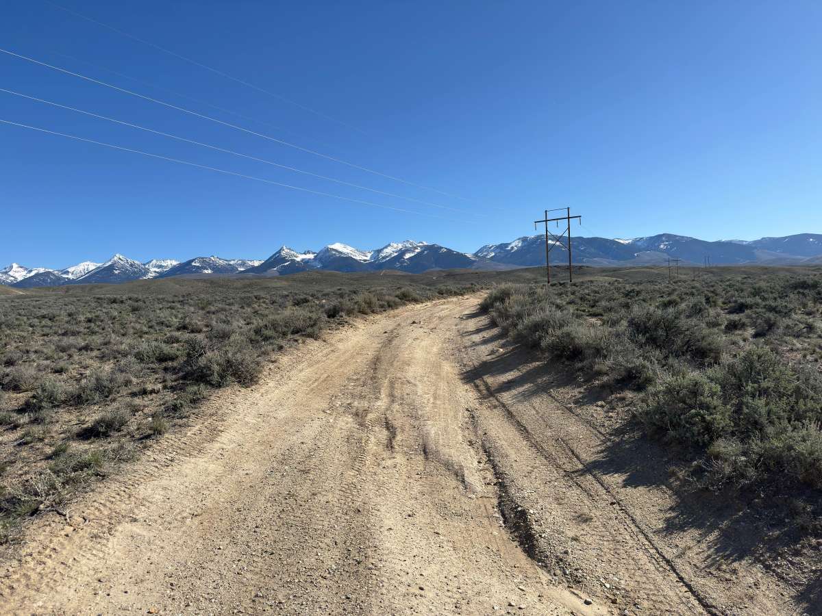 BLM 122 photo 3