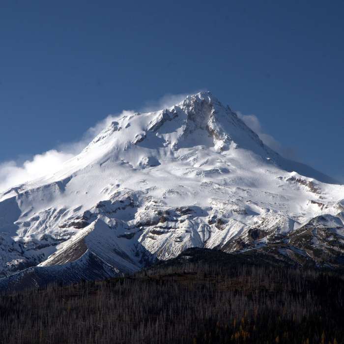 Near Gunsight Trail #685
