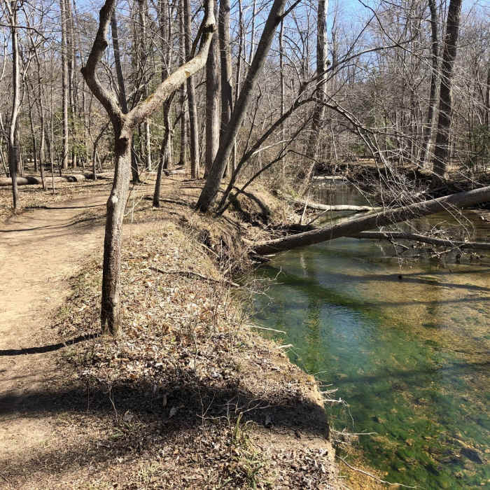 Near South Valley Trail
