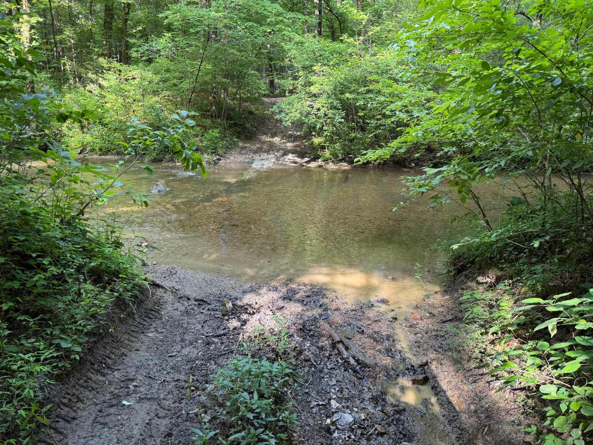 Bear Den Mountain photo 6