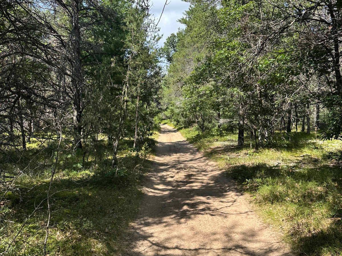 Pierce Road photo 5