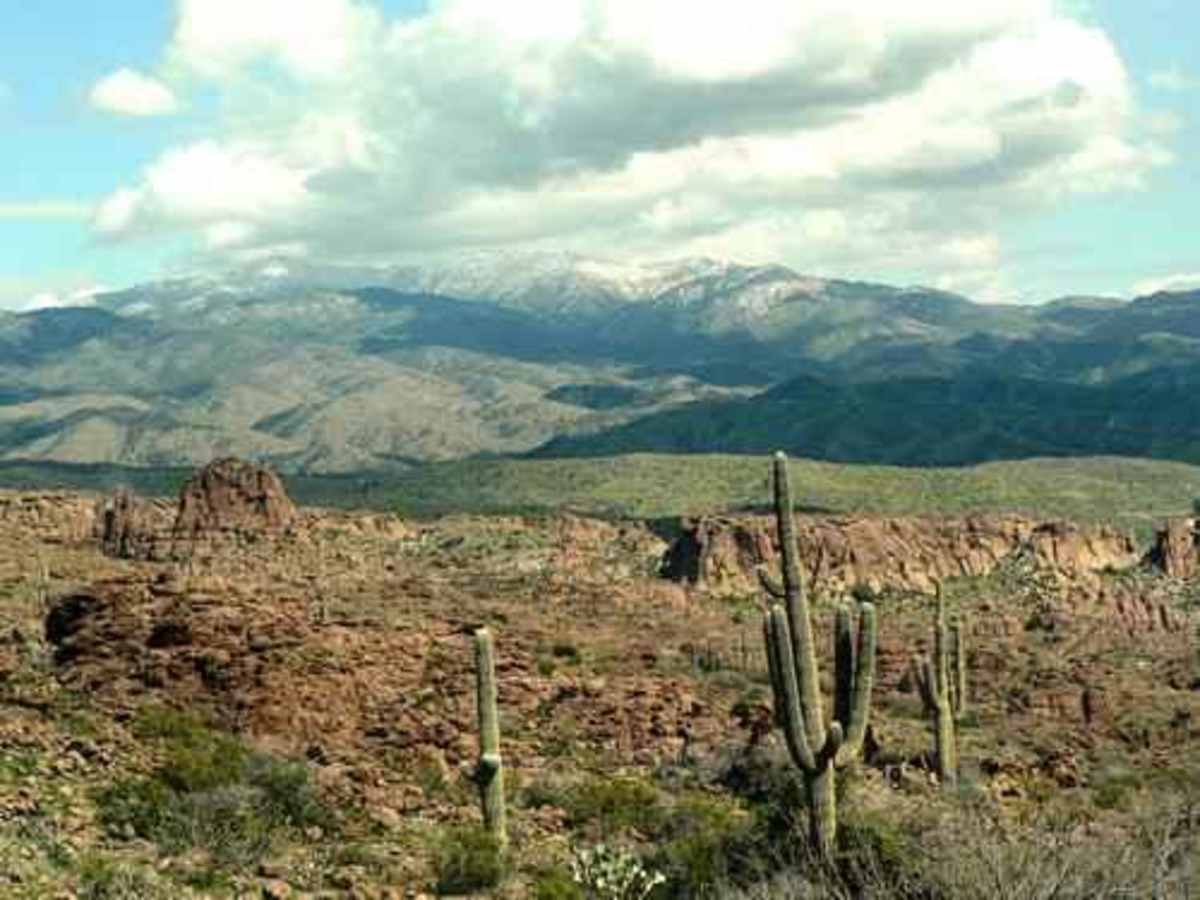 Devil's Canyon photo 4
