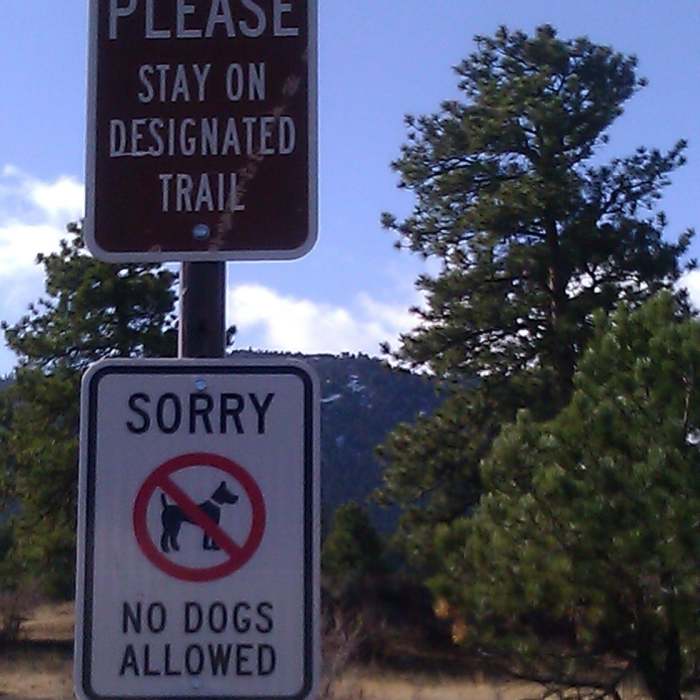 Near Knoll Willows Open Space Trail