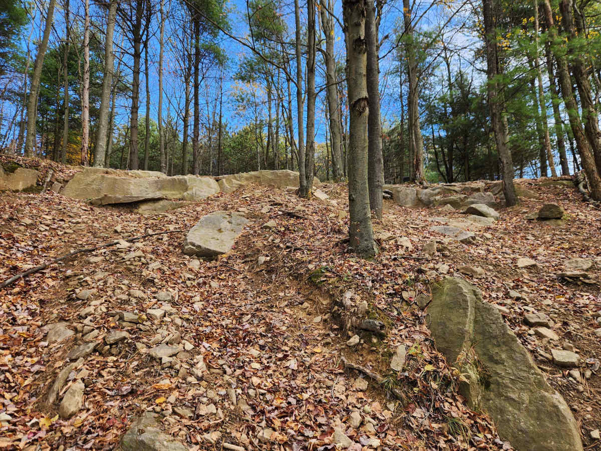 OHV 5L - Rock Run Recreation Area photo 3