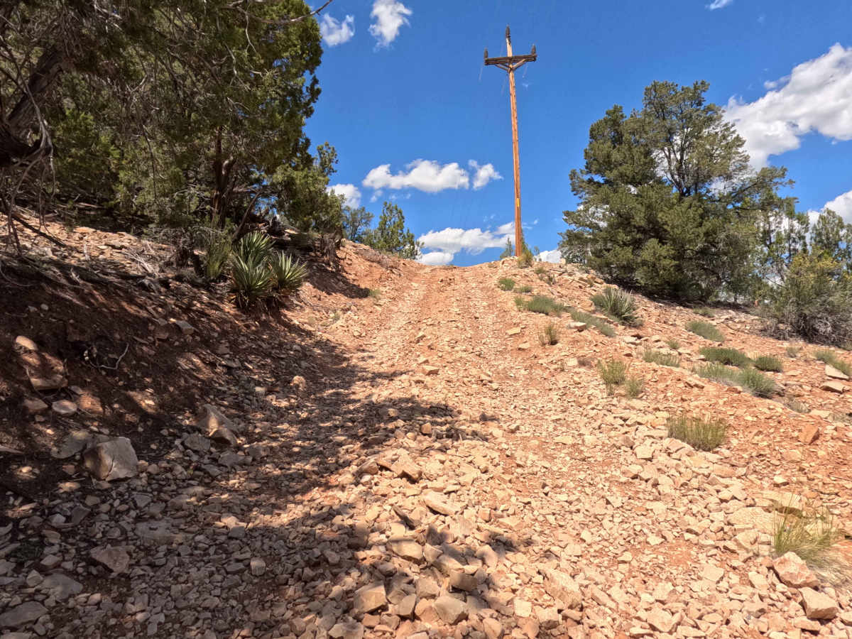 BLM 106Y photo 6
