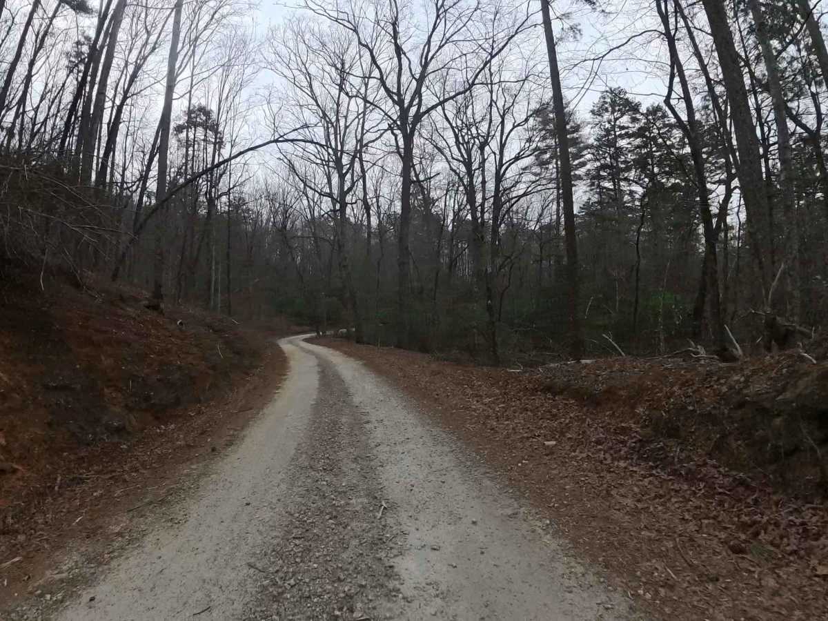 Wolf Creek Church Road - FS 515 photo 3