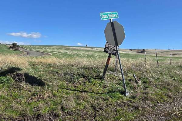 Davis Hollow Road