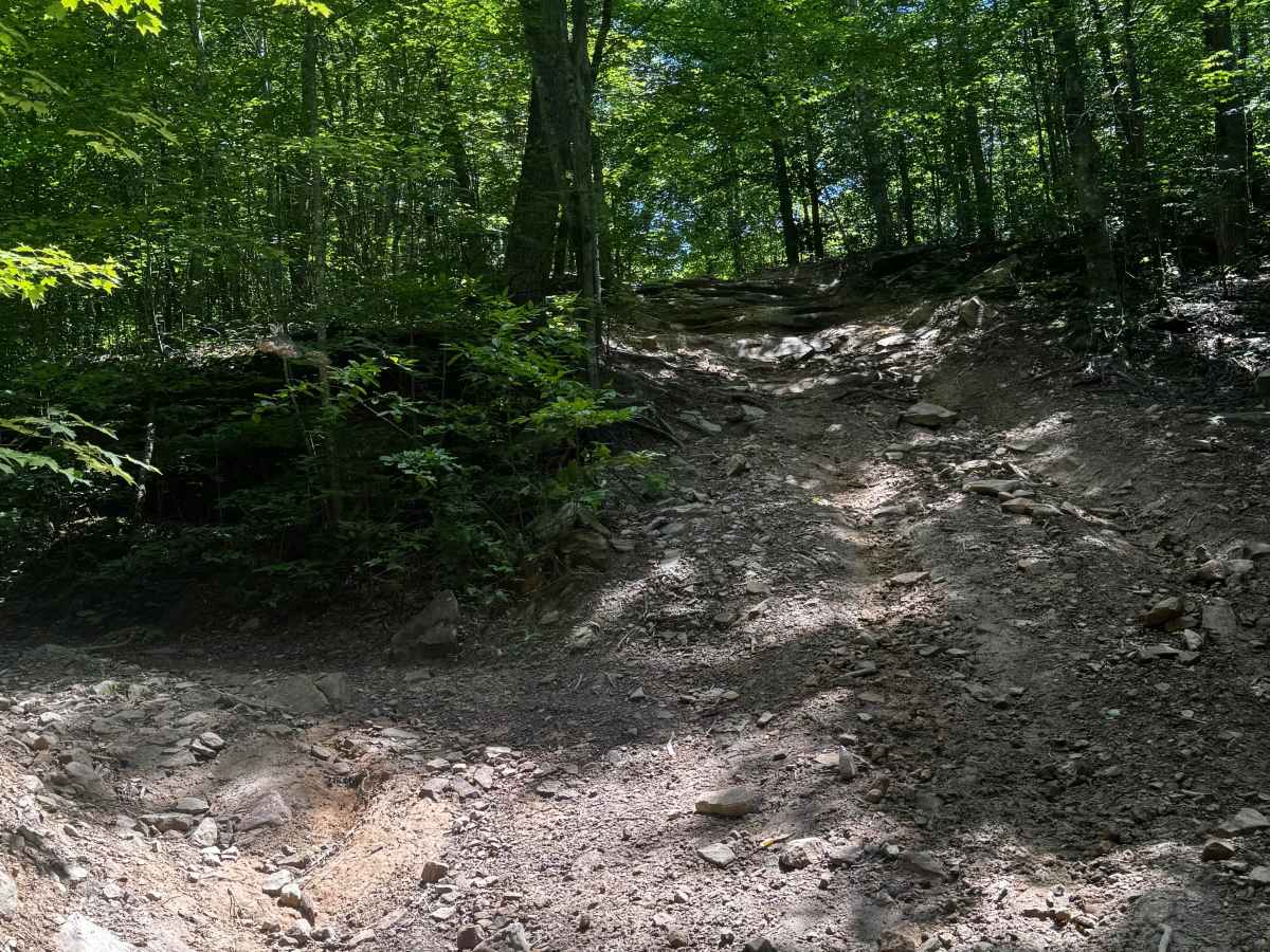 Trail 11A photo 3