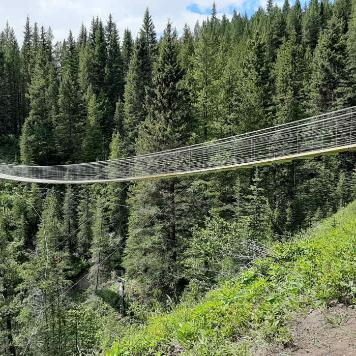 A view of the Blackshale suspension bridge. Near Blackshale Suspension Bridge