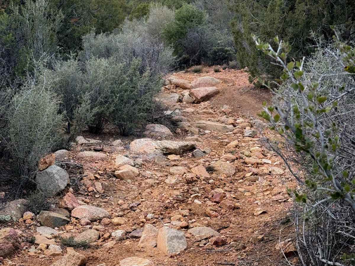 H1332/BLM 7226 photo 2