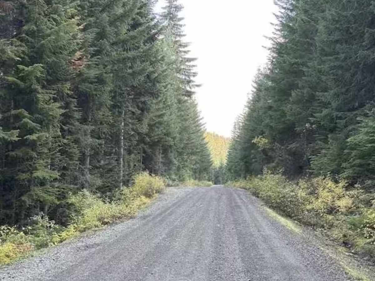 Tucker Creek Road photo 3