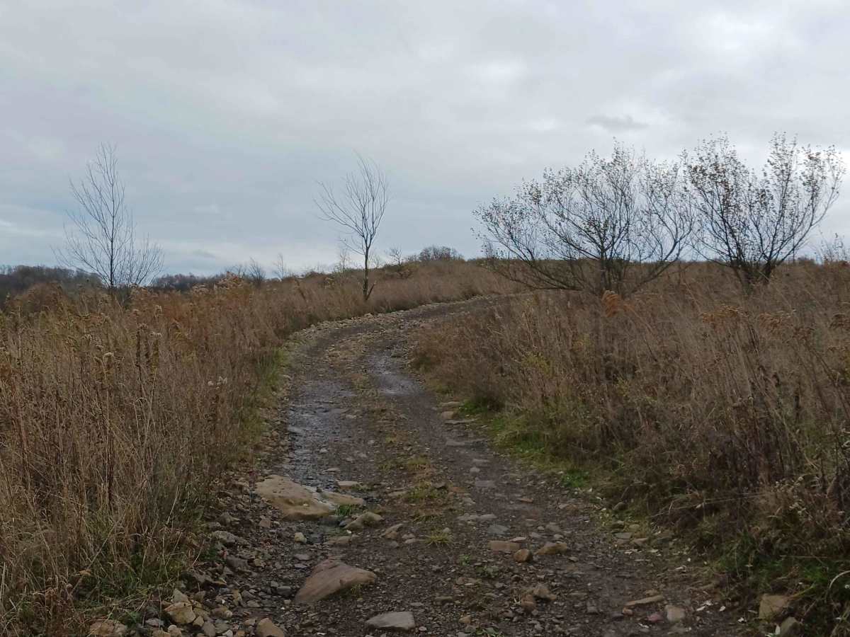 Trail 11Ext - Rock Run Recreation Area photo 3