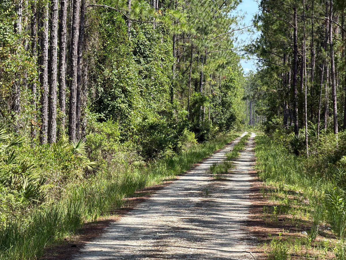 Green‘s Road photo 4