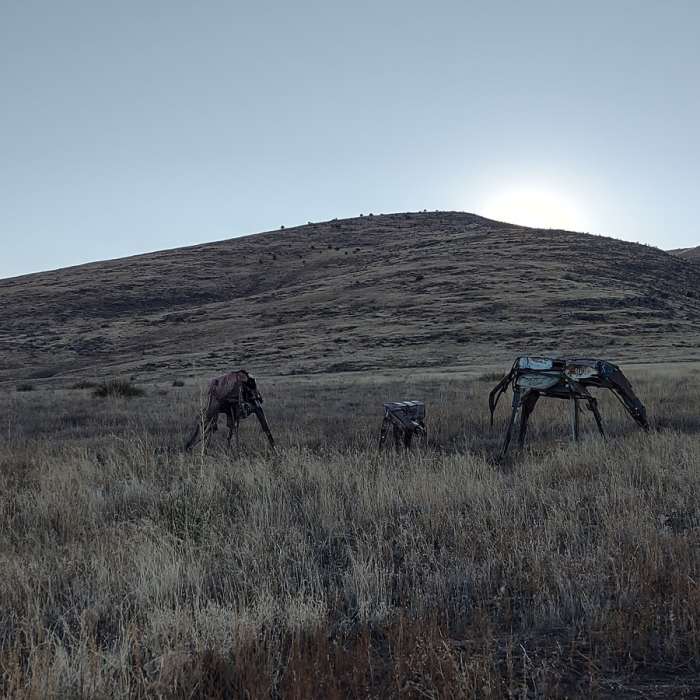 Near Glassford Summit Trail